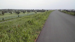 c0178256_11352847.jpg