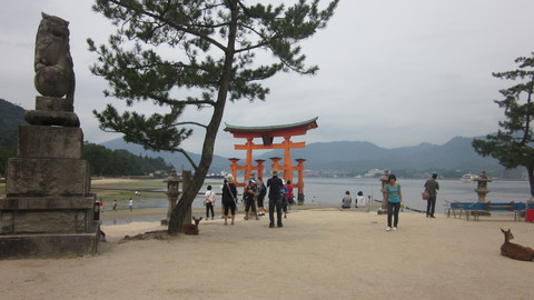 a0186159_17224321.jpg