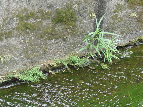 c0108460_16501624.jpg