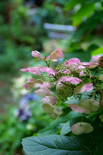d0083761_2121484.jpg