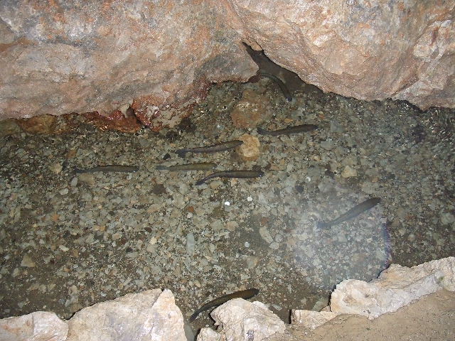 e0025561_22301577.jpg