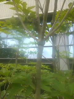 f0061067_22502713.jpg