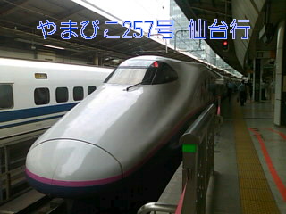 f0061067_237297.jpg