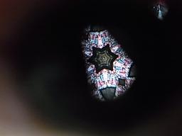 b0185771_2385756.jpg