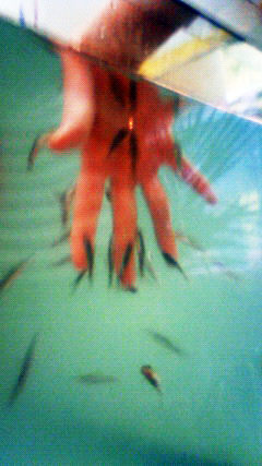 c0107180_14222870.jpg