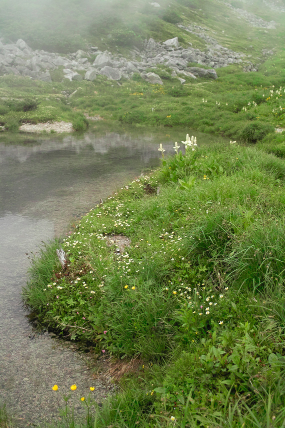 b0160184_22245740.jpg
