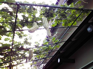 a0109288_22523638.jpg
