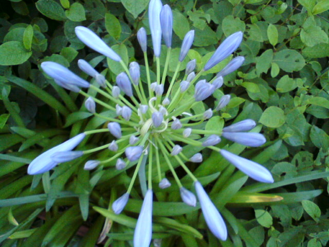 c0122788_160215.jpg