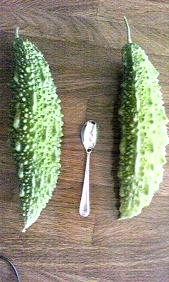 e0100589_1738177.jpg