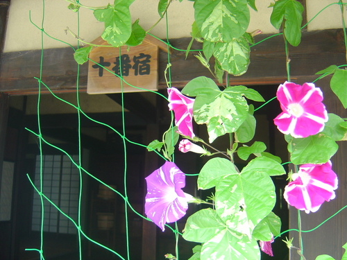 d0212491_11563259.jpg