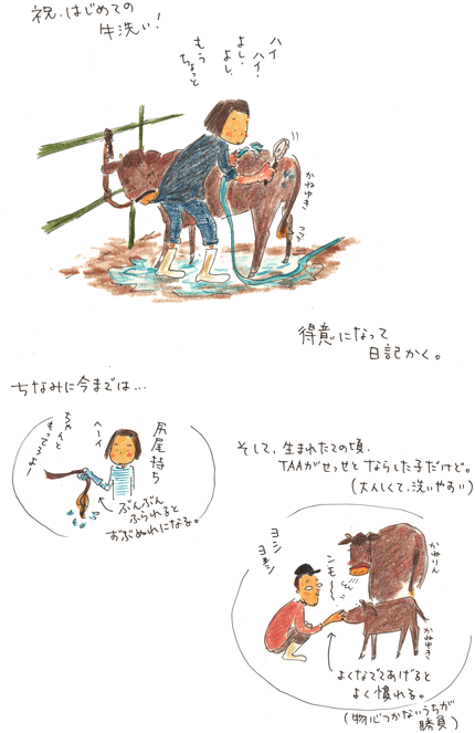 f0236291_63161.gif