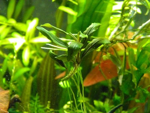 f0138093_0171276.jpg