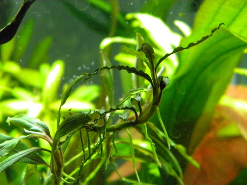 f0138093_0181918.jpg