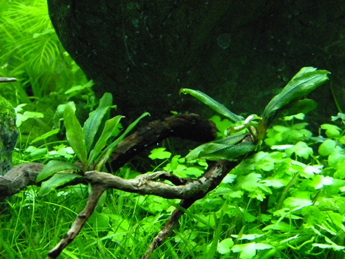 f0138093_022313.jpg