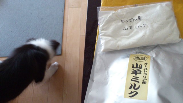 b0204498_16153683.jpg