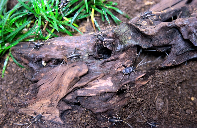 c0043403_208156.jpg