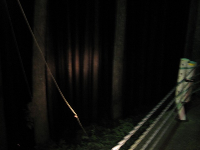 e0183804_214344.jpg