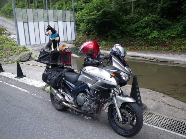 a0116205_2111243.jpg