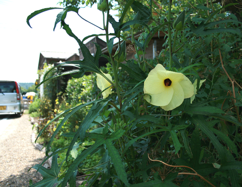 a0139007_1333471.jpg