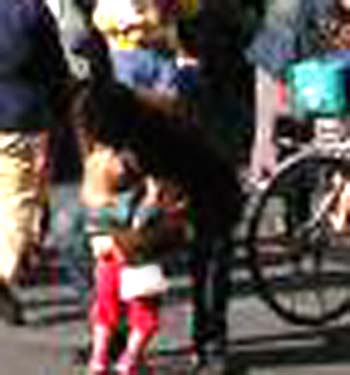 e0103408_1649843.jpg