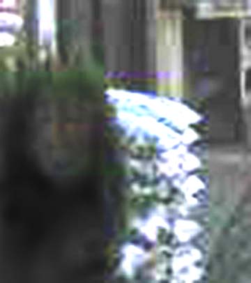 e0103408_17713.jpg