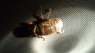 f0231709_01351.jpg
