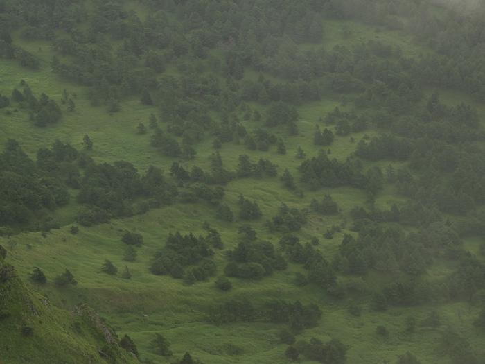 c0110112_2331575.jpg