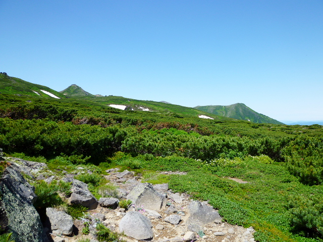 d0170615_2054121.jpg