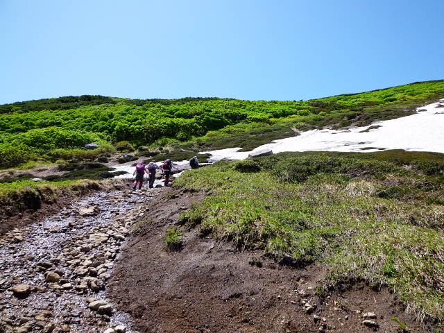 d0170615_2063879.jpg