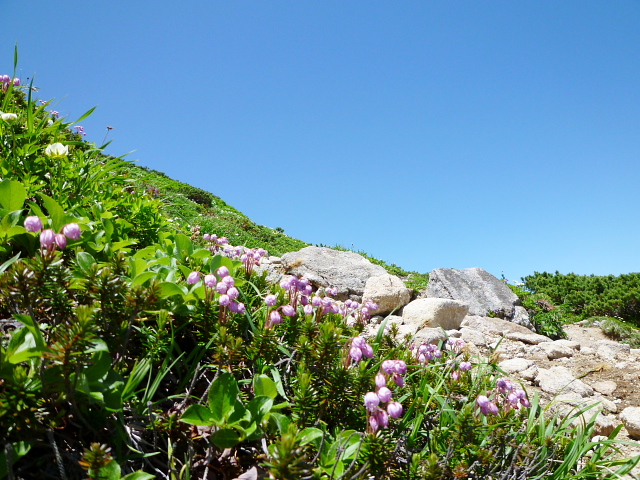 d0170615_207417.jpg