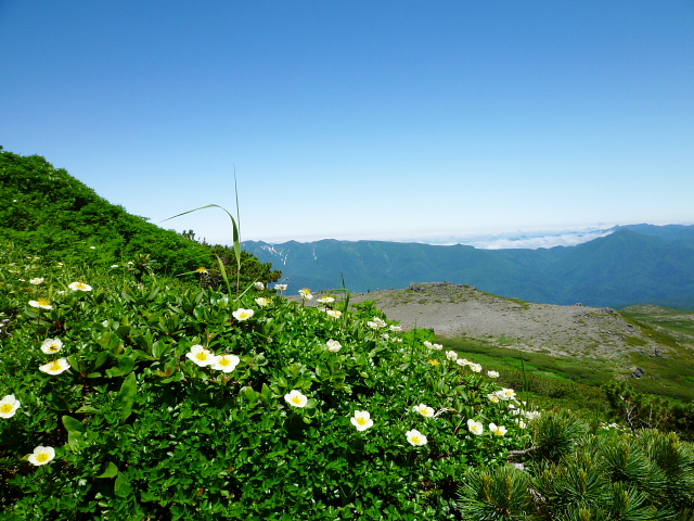 d0170615_2075147.jpg