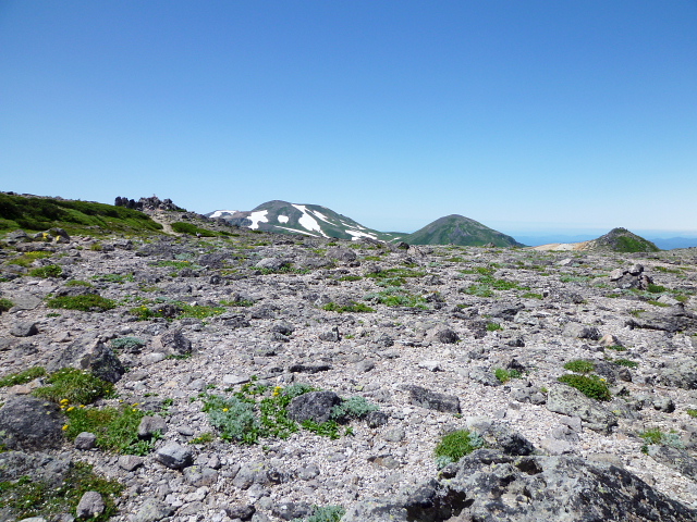 d0170615_208043.jpg