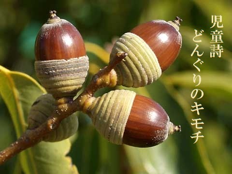 a0216818_11325260.jpg