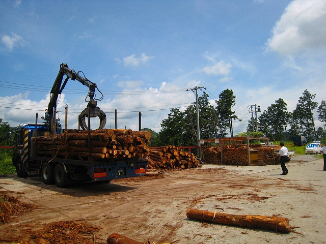 e0002820_2174941.jpg