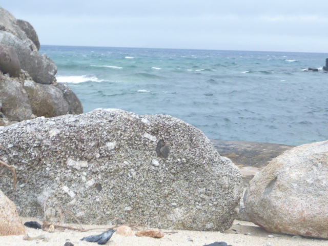 c0048121_1726417.jpg