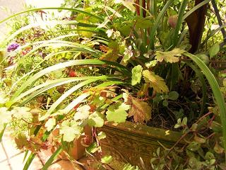 c0204121_8563774.jpg