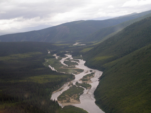 a0097322_8443987.jpg
