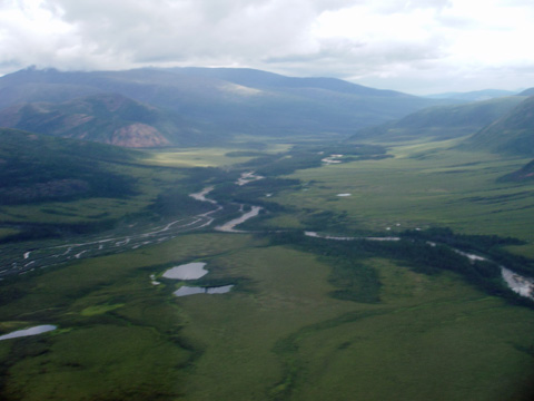 a0097322_8462229.jpg