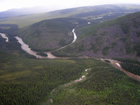 a0097322_84646.jpg