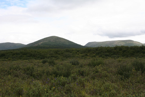a0097322_848367.jpg