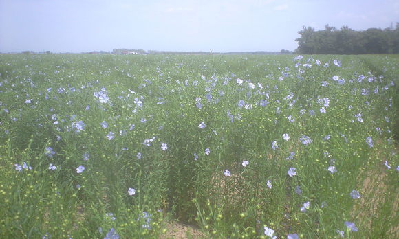 e0227023_0553148.jpg