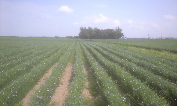 e0227023_0562793.jpg