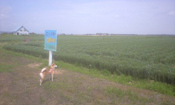 e0227023_0563921.jpg