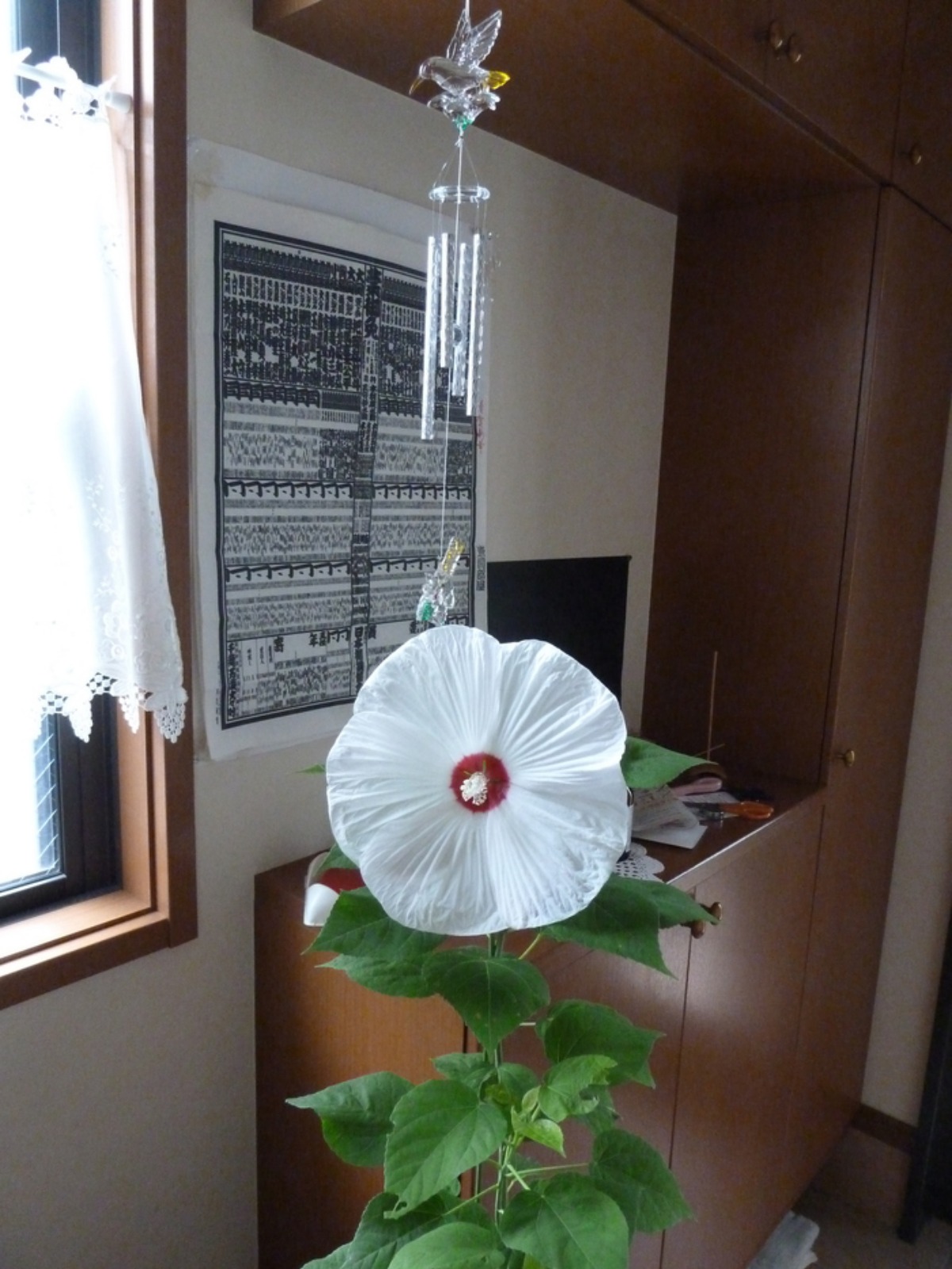 e0033229_19382089.jpg
