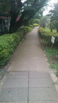 e0103831_1443952.jpg