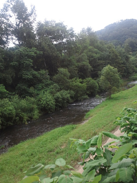 c0117239_12323790.jpg