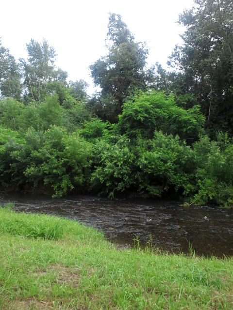 c0117239_12362621.jpg
