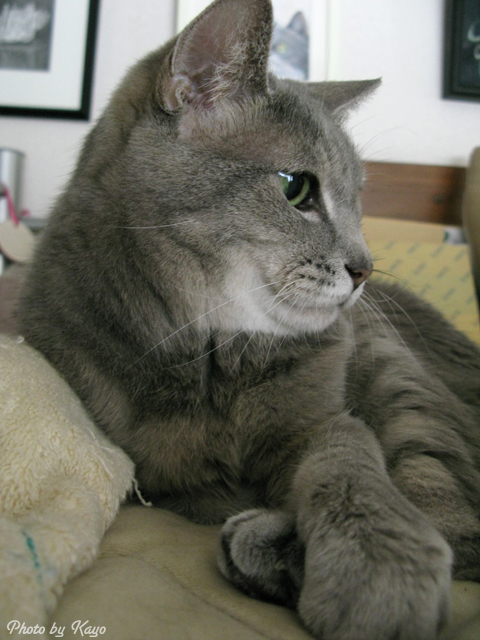 a0117440_2243433.jpg
