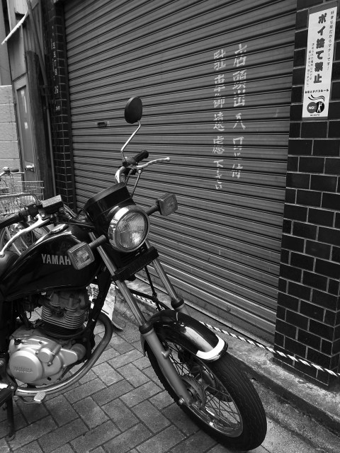 a0087341_211556.jpg