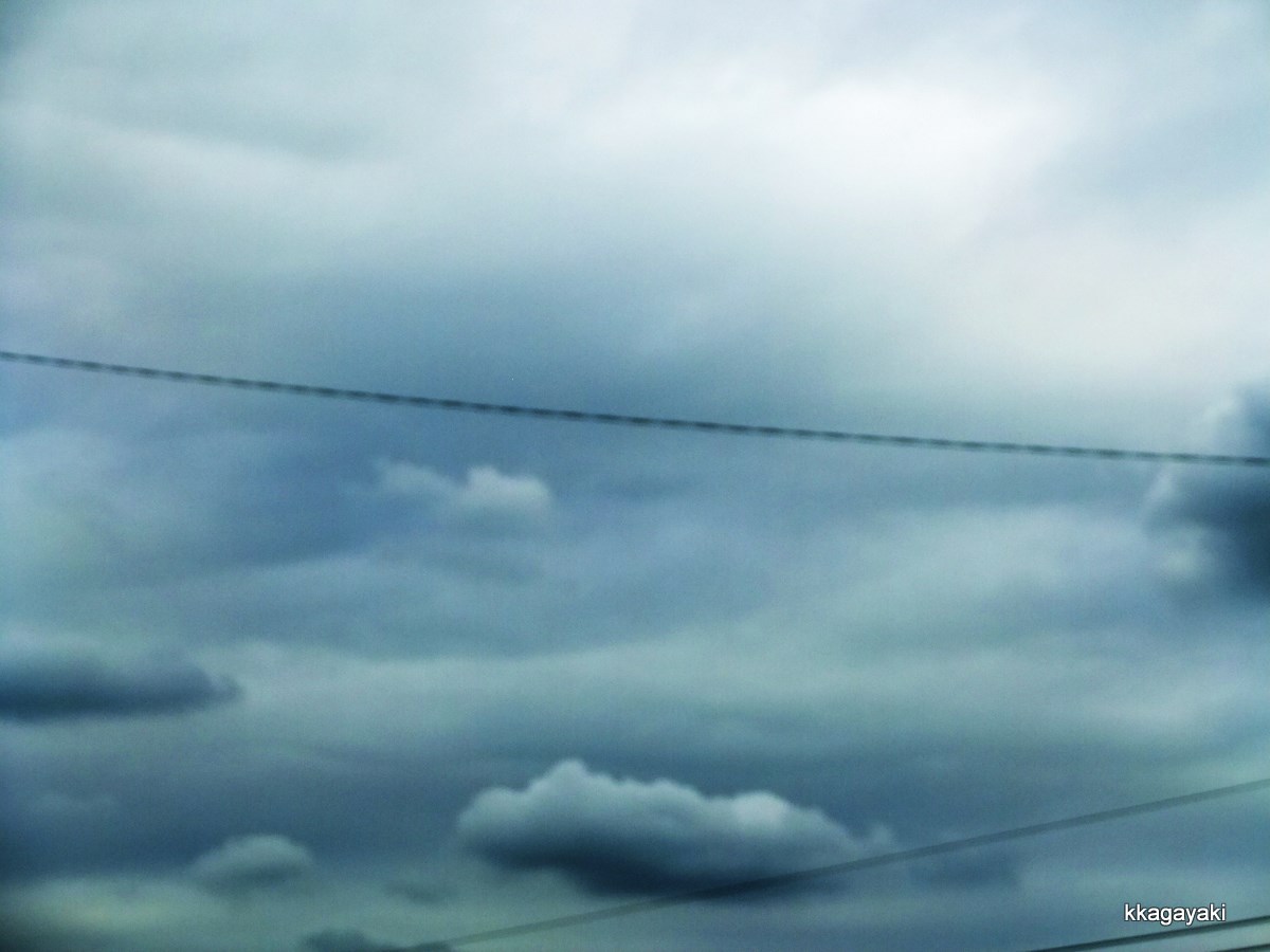 e0206242_754215.jpg